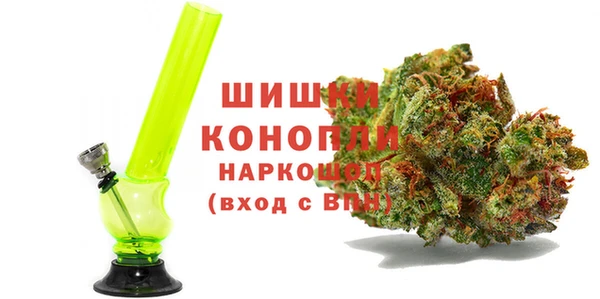хмурый Алексин