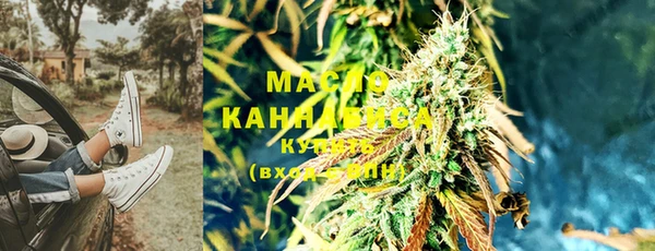 мдпв Михайлов