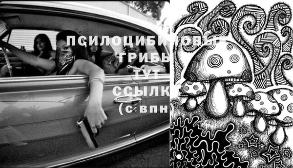 дживик Алзамай