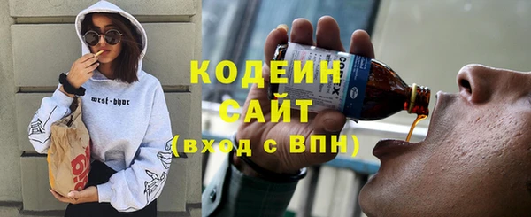 хмурый Алексин