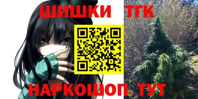 хмурый Кингисепп