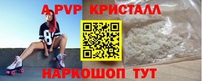 хмурый Кингисепп