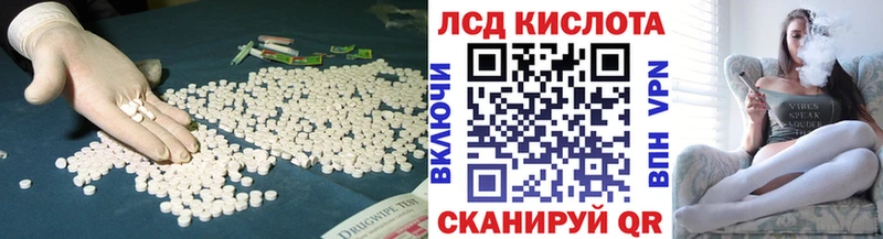 дарнет шоп  MEGA зеркало  ЛСД экстази ecstasy  Сунжа 