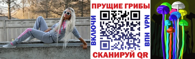 Псилоцибиновые грибы GOLDEN TEACHER  Сунжа 