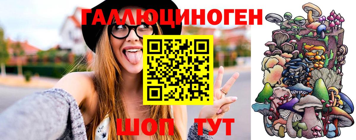 Сунжа  Псилоцибиновые грибы Magic Shrooms  Вход с VPN 