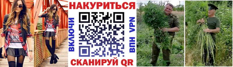 Шишки марихуана гибрид Сунжа